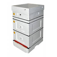 Улей ППС Рута 10 Рам. Нефарбований Lyson 2 корпус Рута + магазин з підкришником і дном