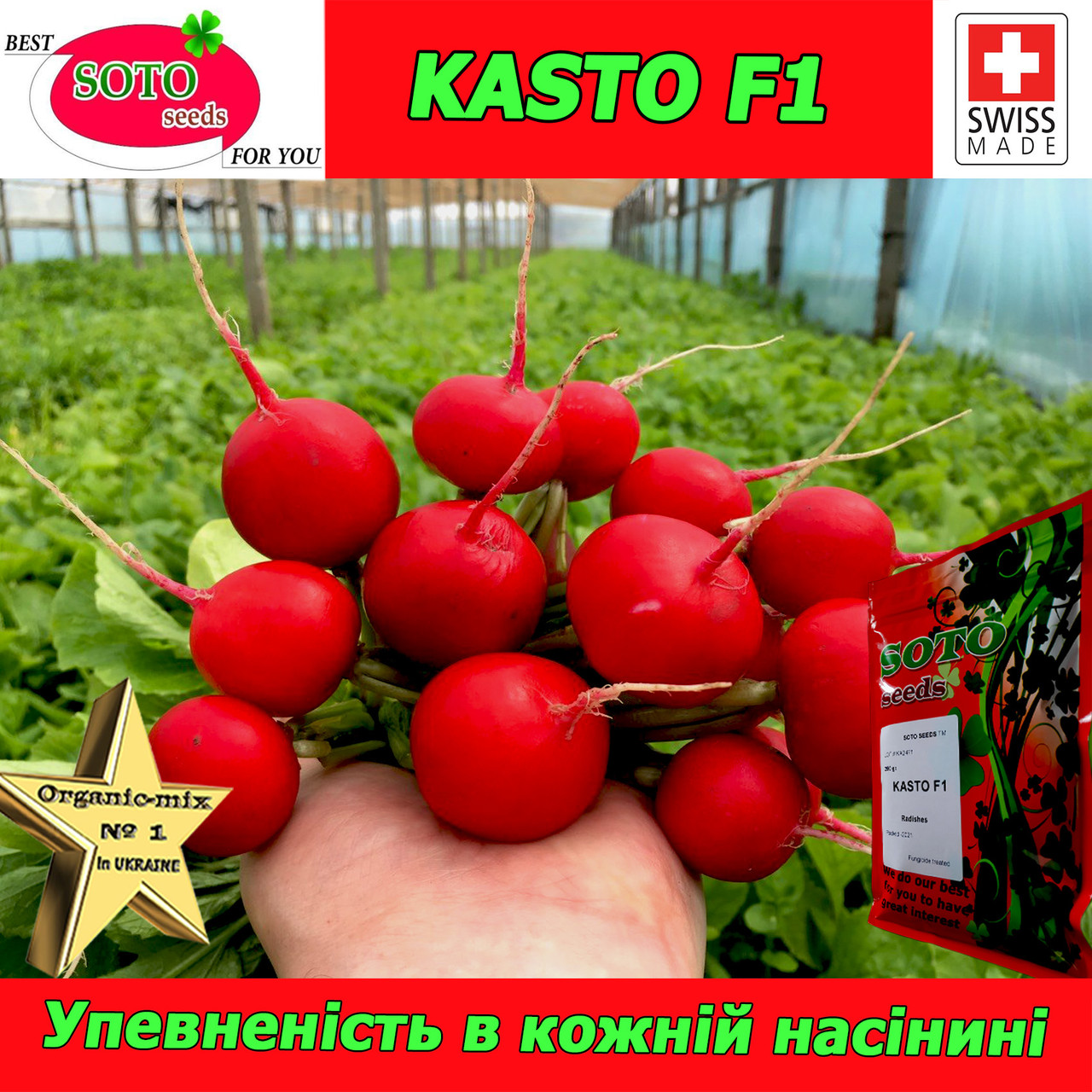 Насіння, редис КАСТО F1 / KASTO F1 (надранній) 250 грамів, SOTO SEEDS (Швейцарія)