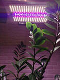 GREEN WITCH FULL SPECTRUM LED 150 W 1100 LUX 50 000 люмен (повний спектр) GROW ФИТО, управління по WIFI, фото 3