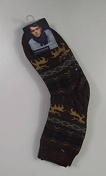 Шкарпетки шерстяні на хутрі чоловічі "HAUSSOCKE" 39-42