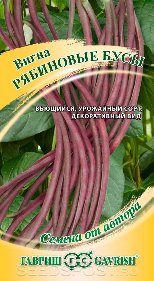 Насіння вігна РЯБІНОВИ БУСИ 10 шт.