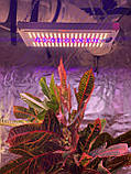 GREEN WITCH FULL SPECTRUM LED 150 W 1100 LUX 50 000 люмен (повний спектр) GROW ФИТО, управління по WIFI, фото 2