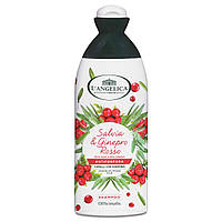 Шампунь L Angelica con Salvia e Ginepro Rosso лікувальний проти лупи, 250 мл