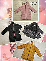 Куртки для дівчаток утепл. оптом, Glo-Story, розміри 134-164, арт. GMA-1376