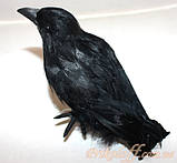Пташка Ворон, декор на Хелловін 18 см, фото 2
