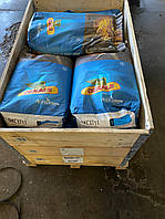 ДКС 4590 Monsanto (ФАО 360) Монсанто семена кукурузы