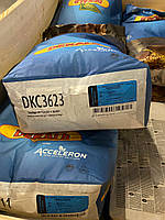 ДКС 3623 Monsanto (ФАО 290) Монсанто семена кукурузы