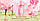 Жіноча туалетна вода Elizabeth Arden Green Tea Cherry Blossom 100ml, фото 3