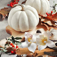 WHITE PUMPKIN AMBER №51, ароматизатор для мила зі свічок, США, ваніль 5,7%