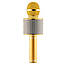 Бездротовий мікрофон для караоке Wester WS-858 портативна колонка Золотий (858 Gold), фото 3