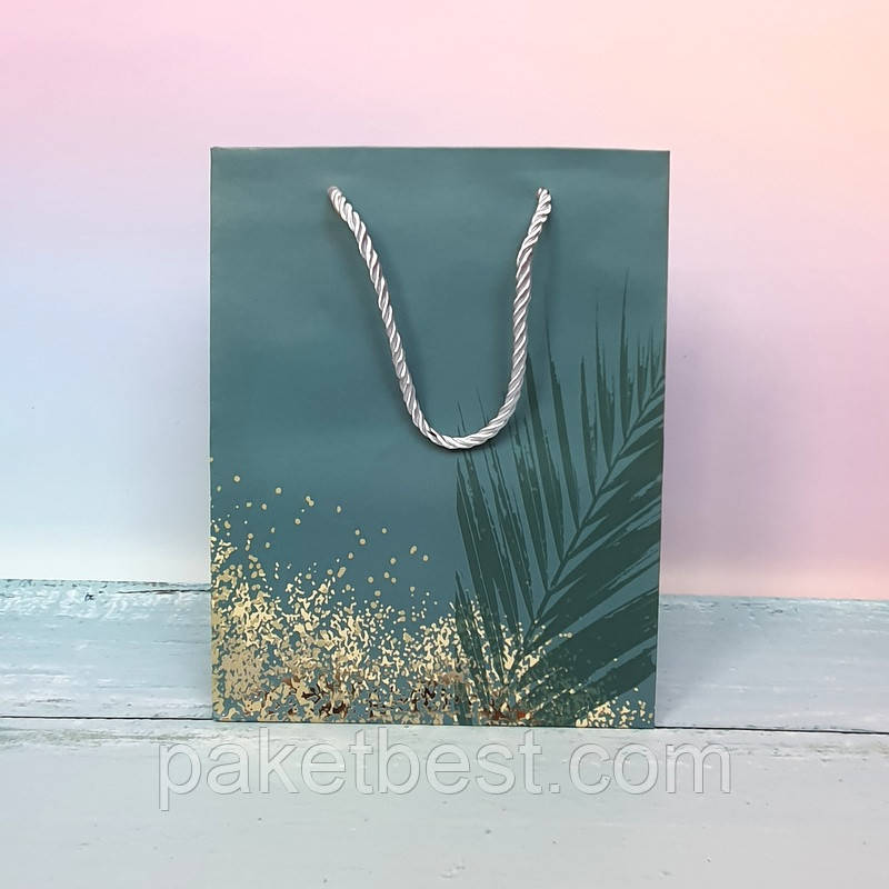 Подарунковий Пакет Преміум(18х23х10)