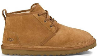 Черевики UGG Neumel Chestnut