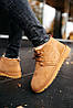 Черевики UGG Neumel Chestnut, фото 3