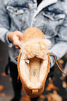 Черевики UGG Neumel Chestnut, фото 4
