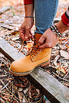 Черевики Timberland Icon 6-Inch Premium Yellow, фото 6