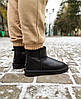 Зимові черевики UGG Classic Mini II Boots Black Leather, фото 9