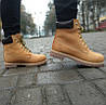 Черевики Timberland Icon 6-Inch Premium Yellow, фото 5