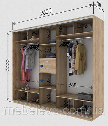 Шафа-купе 3Д Стандарт 260х60 h-220, ТМ Гарант, фото 1