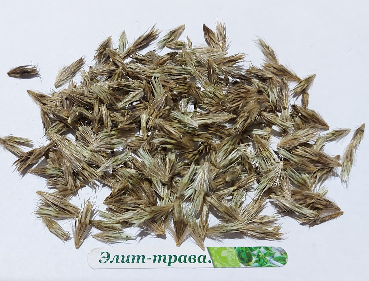 Насіння мордовника 50 грам