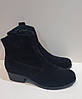 STTOPA деми зима. Розміри 36-41. Напівчоботи Казаки з натуральної шкіри. Каблук 4,5 см. 210-3641-45 Чорні, фото 2