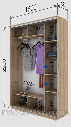 Шафа-купе 2Д Стандарт 150х45 h-220, ТМ Гарант, фото 1