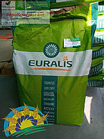 ЕС Белла - семена подсолнечника (150000 шт). Euralis