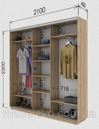 Шафа-купе 3Д Стандарт 210х45 h-220, ТМ Гарант, фото 1