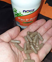 Кора мурашиного дерева NOW Pau d'arco 500 mg of Innewr Bark 250 veg caps, фото 6
