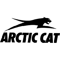 Arctic cat