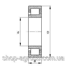 Підшипник SKF NJ209ECP/C3, 70-42209E, CLAAS 215115.0, фото 2