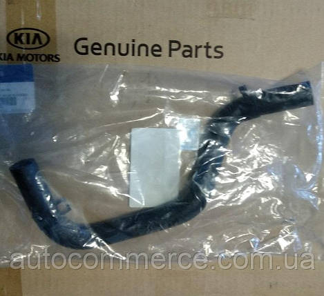 Шланг подавання ATF на бачок насоса ГУР Hyundai HD65, HD78 Хюндай, Євро-3 (575105L210), фото 1