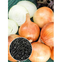 Цибуля Халцедон вагова (ціна за 100 г)