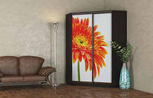 Шафа-купе кутовий 2Д Стандарт 110х110 h-240, ТМ Гарант, фото 4