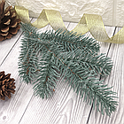 Гілка лита Ялина канадська Еліт блакитна, фото 2