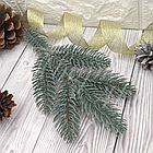 Гілка лита Ялина європейська Люкс блакитна, фото 2