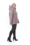 Жіноча зимова куртка з капюшоном Li-162 в розмірах 48-62, фото 10