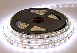 Світлодіодна стрічка 12 В SMD 4040 (60 LED/м), білий, IP20 — бобіни від 5 метрів