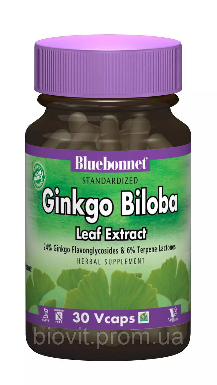 Екстракт листя гінкго білоби (Ginkgo Biloba Leaf Extract) 60 мг, фото 1