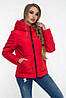 Модна жіноча куртка демісезонна укорочена розмір 42-52, фото 6