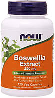 NOW Boswellia Extract 250 mg Veg Capsules 120 капсул (4384303787)