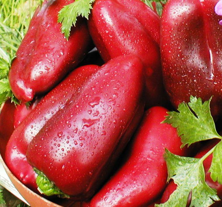 Насіння перцю Вероніка