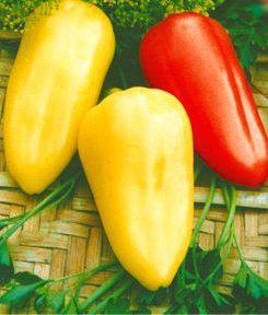 Насіння перцю Білозерка