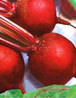 Насіння буряка Делікатесна (Укр)