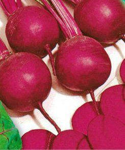 Насіння буряка Детройт, фото 1