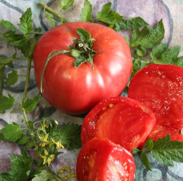 Насіння томатів Ельдорадо