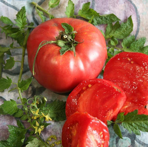 Насіння томатів Ельдорадо, фото 1