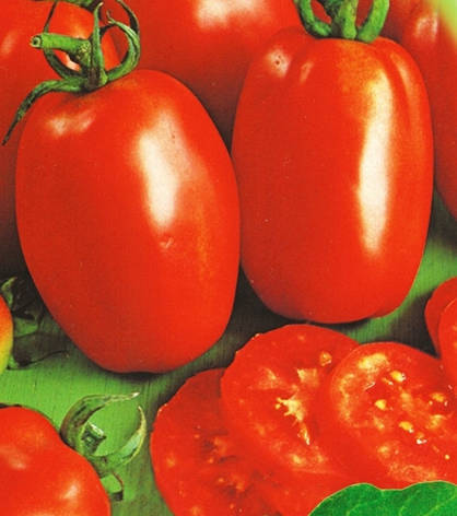 Насіння томатів Пето 86 50 г, фото 1