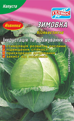 Насіння капусти білокачанної Зимівка 200 шт. Інк., фото 1