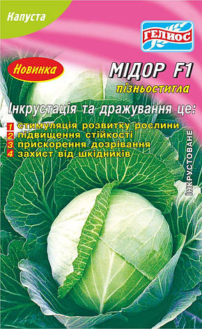 Насіння капусти білокачанної Мідор F1 50 шт. Інк., фото 1