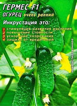 Насіння огірків бджолозапильних Гермес F1 25 шт. Інк.